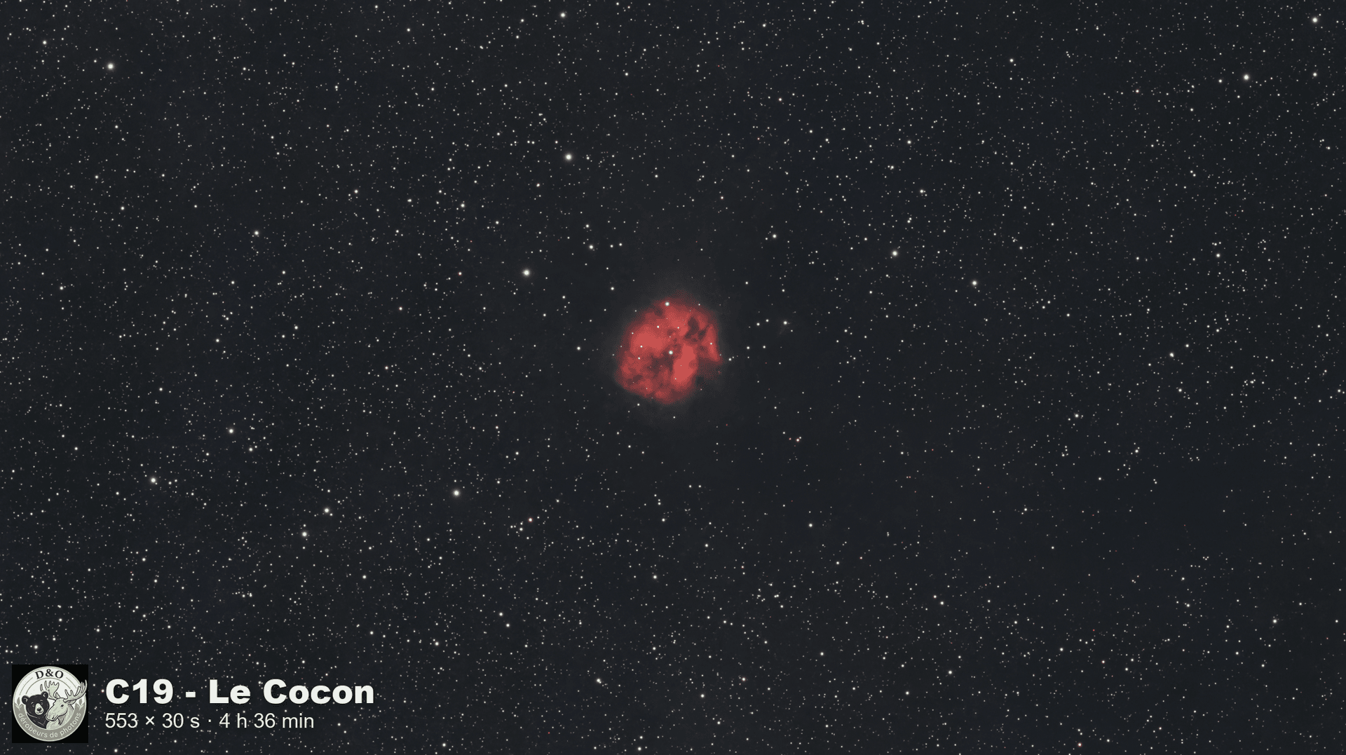 C19 - Le Cocon