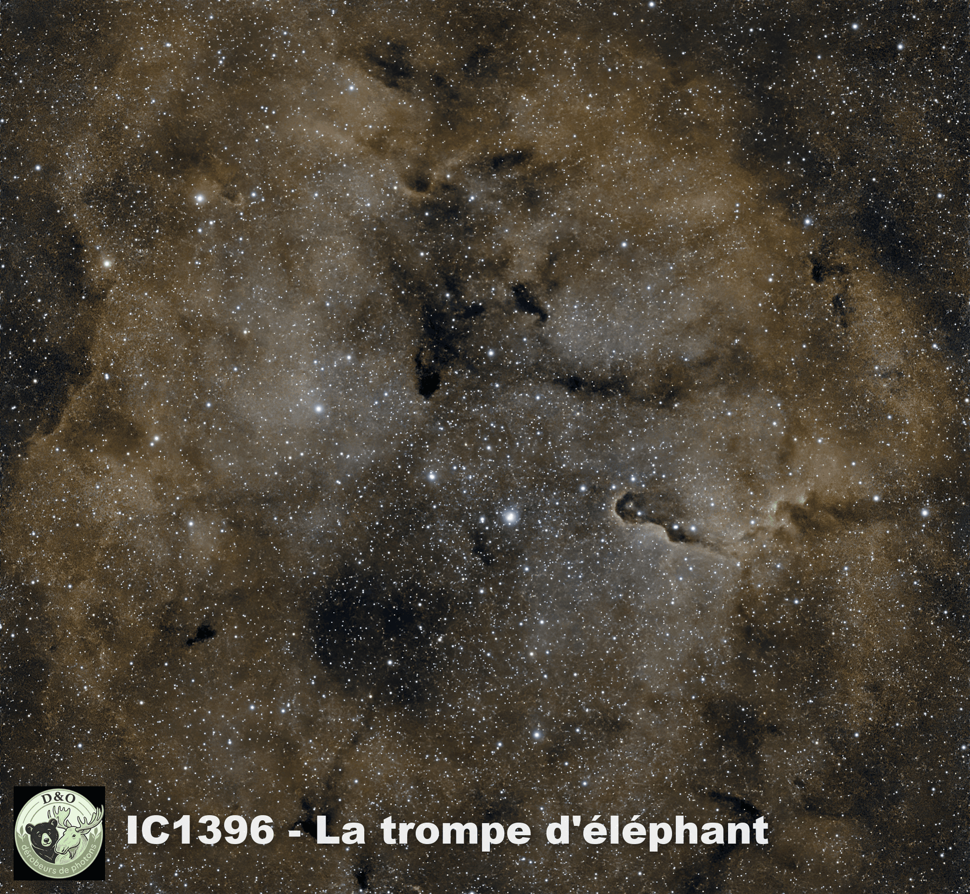 IC1396 - Trompe Elephant