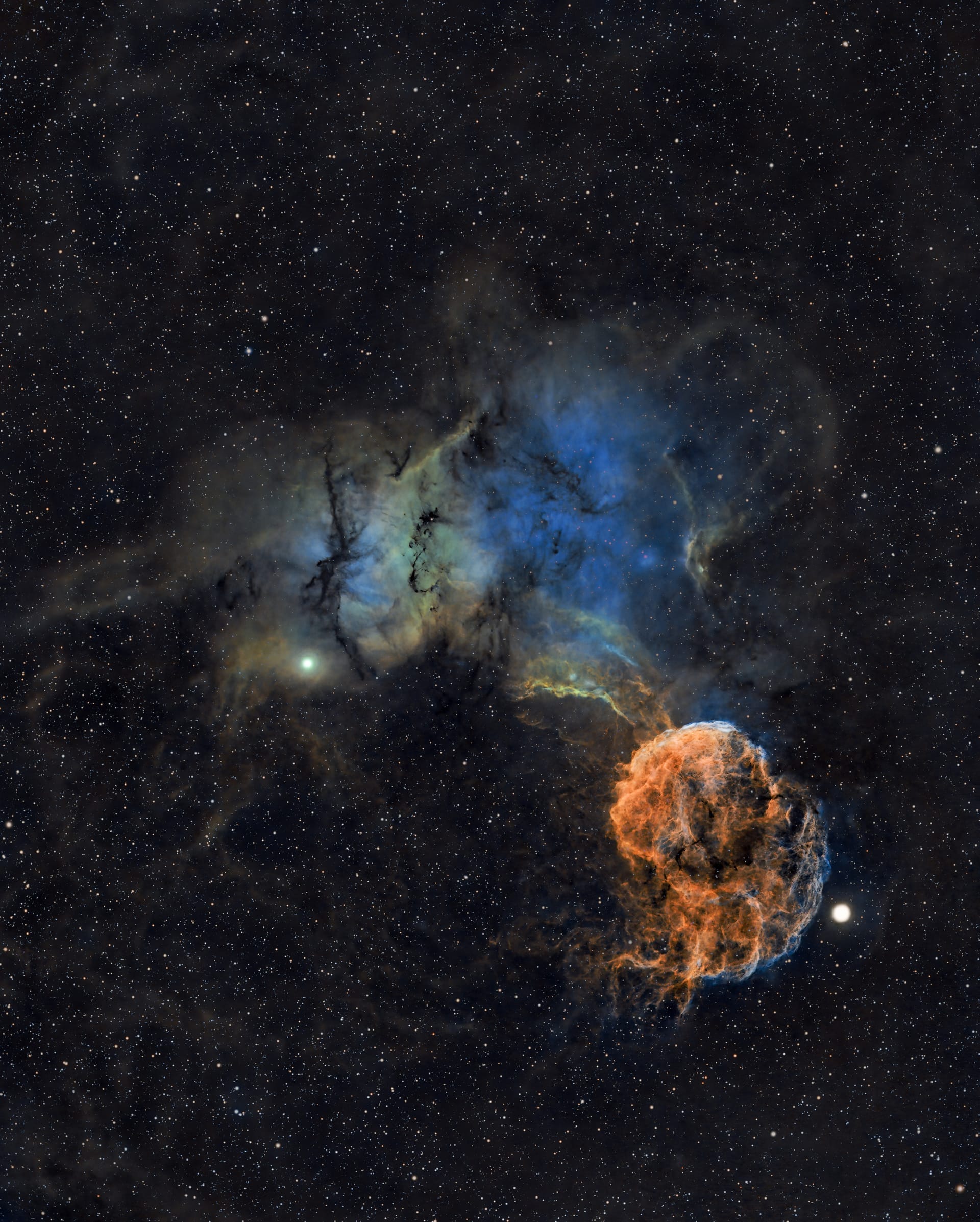 IC 443, Nébuleuse de la Méduse — photographie de Christophe Herdewyn, lauréat du concours Les Étoiles de l'astronomie 2025