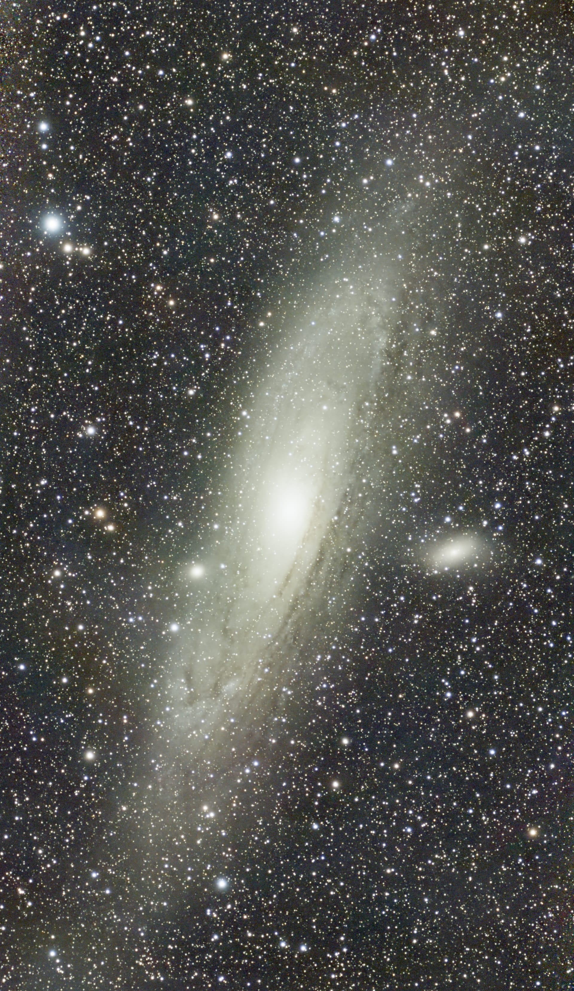 M31 - dwarf