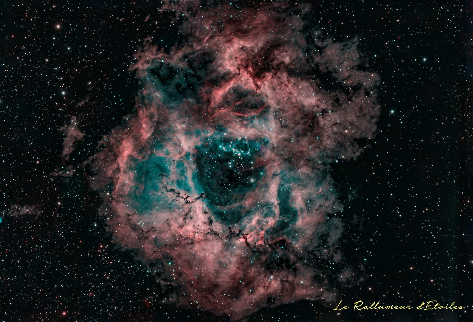 NGC2237 - La Rosette